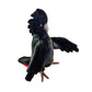 Black Cockatoo Puppet