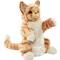 Ginger Cat Puppet