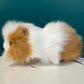 Guinea Pig (brown and white)