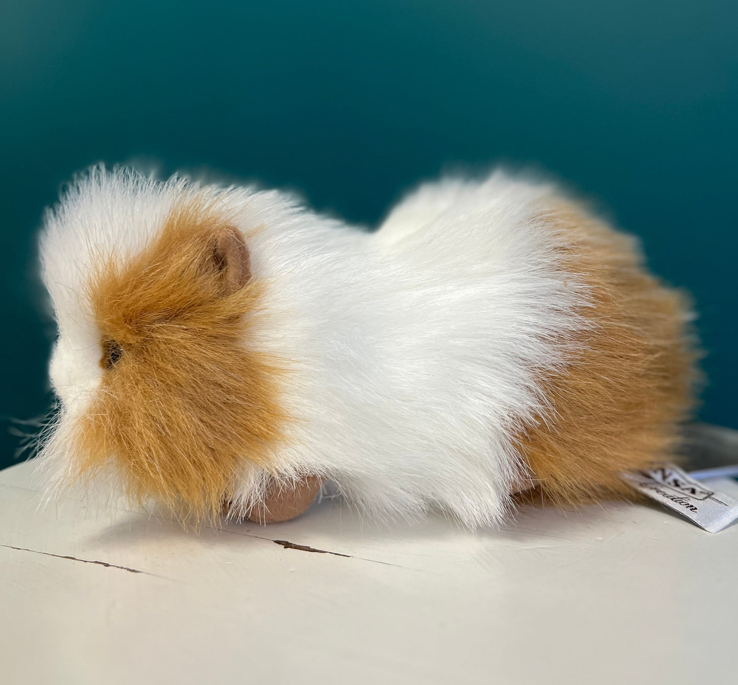 Guinea Pig (brown and white)