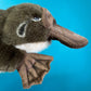 Platypus Puppet