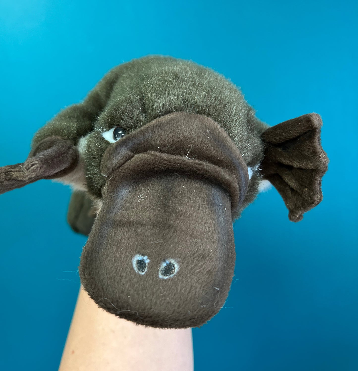 Platypus Puppet