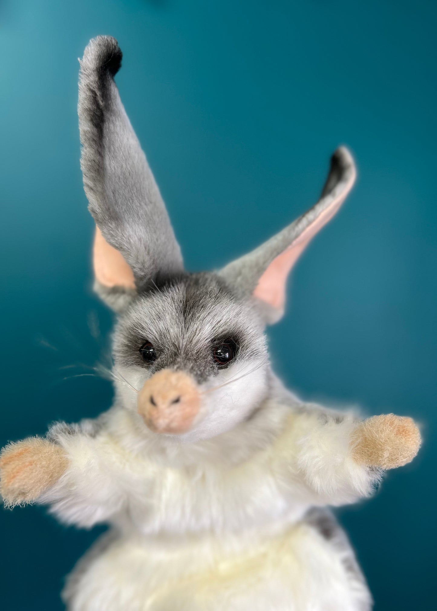 Bilby Puppet