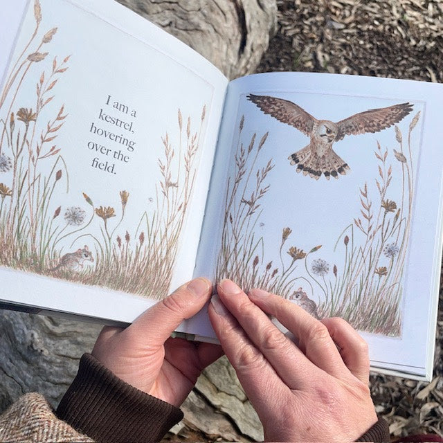 two inside pages of the book are shown, on the left the text reads "I am a kestrel, hovering over the field" on the right there is an illustrated picture of a kestrel mid fight.  each page features native Australian flowers and plants along the ground with a small mouse hiding amongst the stems