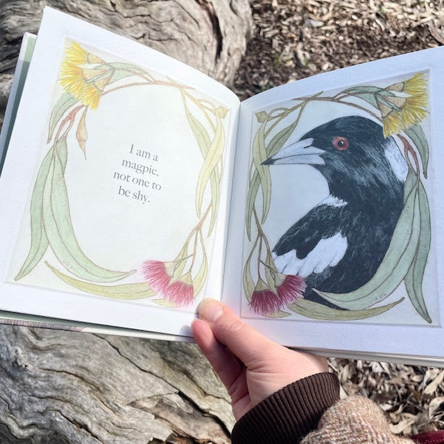 two inside pages of the book are shown, on the left the text reads "I am a magpie, not one to be shy" on the right there is an illustrated picture of a magpie.  each page has a border of native Australian flowers