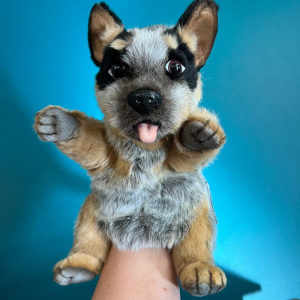 plush blue heeler puppy puppet faces the camera