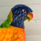 Rainbow Lorikeet Puppet