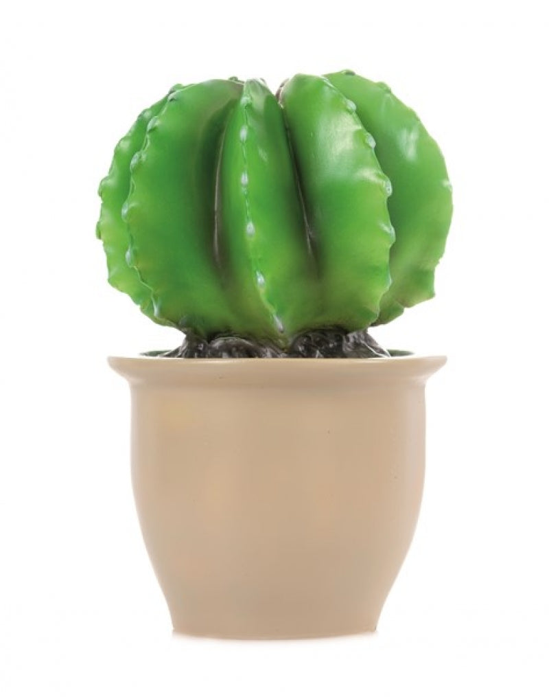 Heico cactus in flower pot night light - lamp